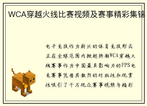 WCA穿越火线比赛视频及赛事精彩集锦